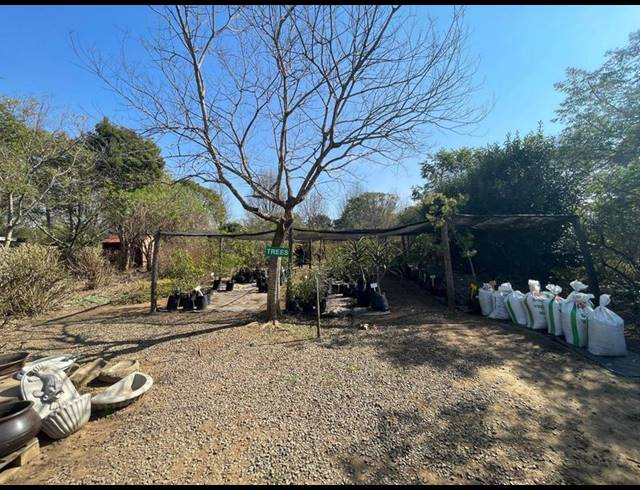 FARM FOR SALE IN GREYTOWN